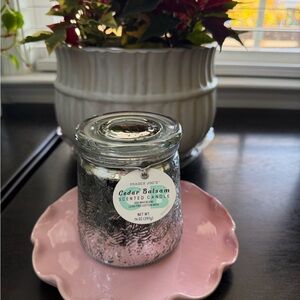 Trader Joe's - Cedar Balsam - Holiday '25 Large Candle 14 oz